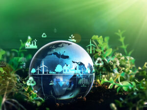 Sürdürülebilirlik Danışmanlığı